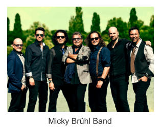 Micky Brhl Band